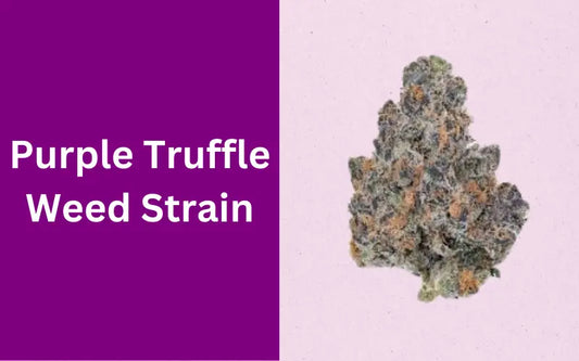 Purple Truffle Strain: History, Characteristics and Effects