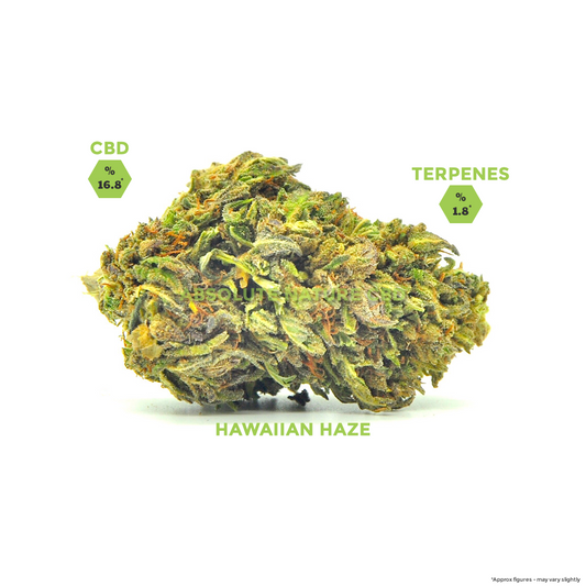 Hawaiian Haze CBD Hemp Flower Buds For Sale