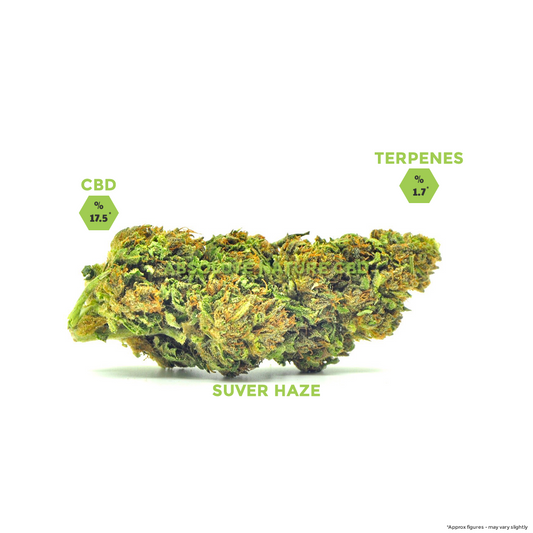 Suver Haze CBD Hemp Flower Buds For Sale