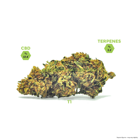 T1 (Trump) CBD Hemp Flower Buds For Sale