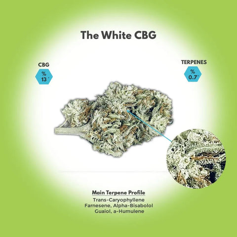 The White CBG Hemp Flower For Sale