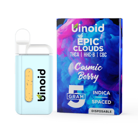 EPIC CLOUDS 5 GRAM DISPOSABLE VAPE – COSMIC BERRY